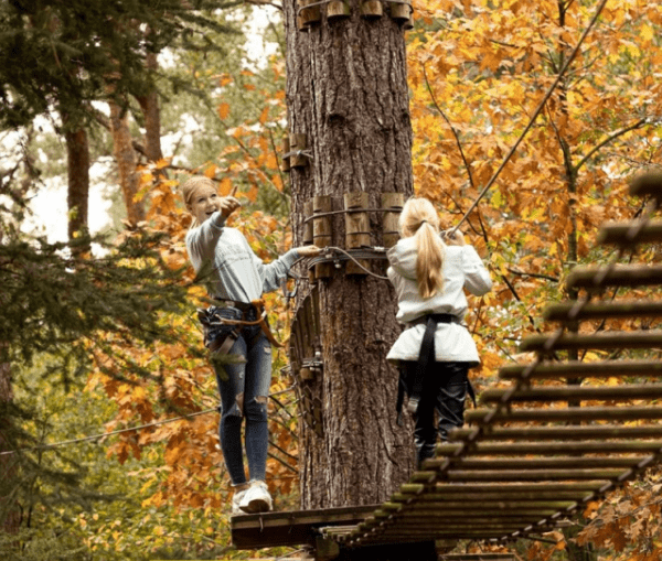 Klimbos Apeldoorn