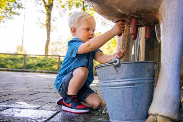 Voorverkoop Binky abonnementen 2025