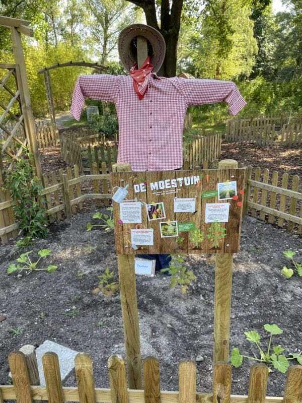 Zomerplezier bij Binky
