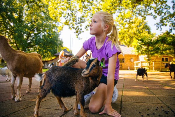 Kinderboerderij