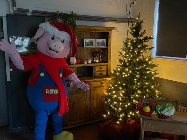 Binky’s Lichtjesfeest