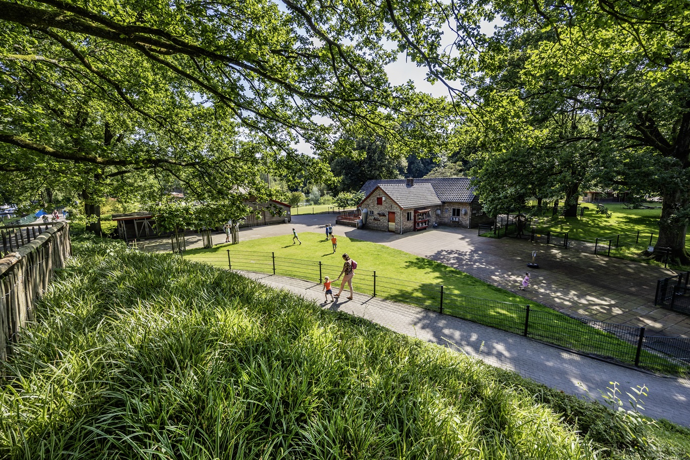 Bomen in het park