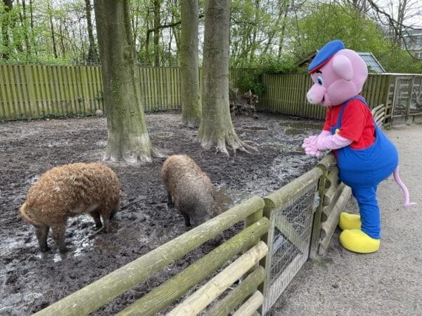 Entertainment bij Binky