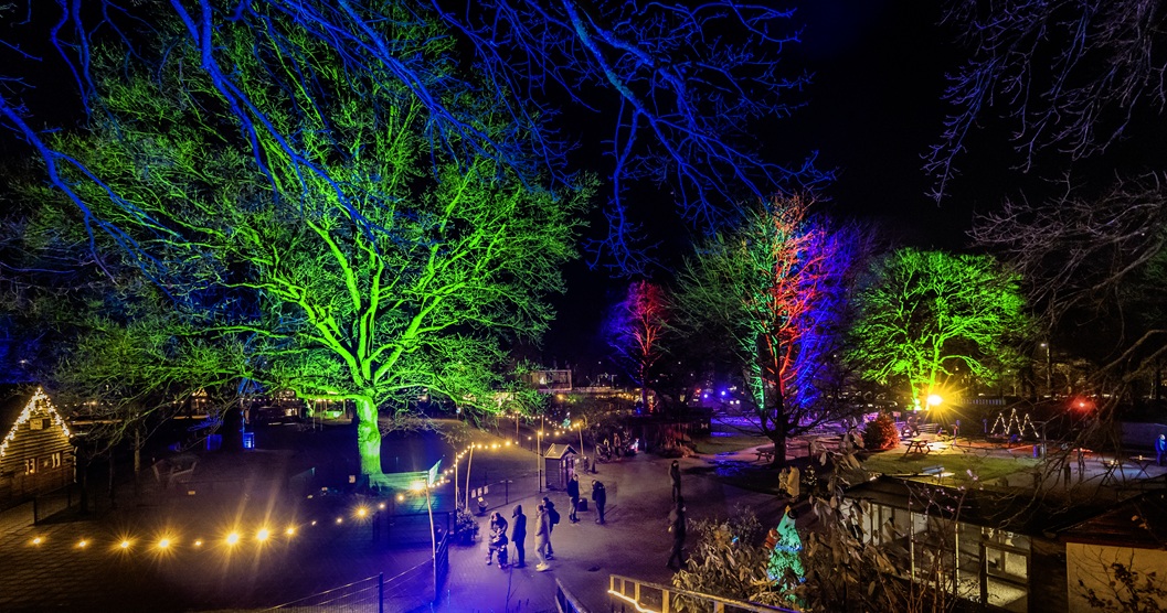 Mooie verlichtte bomen tijdens Binky's Lichtjesfeest 2024.