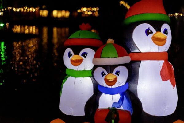 Binky's Lichtjesfeest